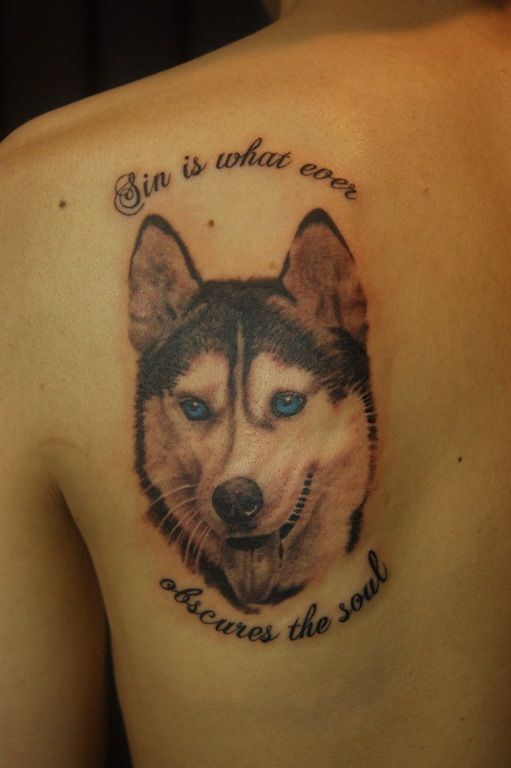 背中,肩,犬,ポートレイト,ブラック＆グレイ,青タトゥー/刺青デザイン画像