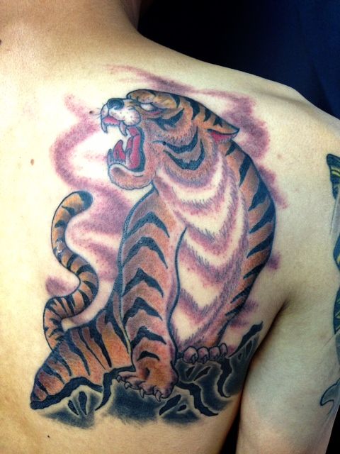 虎,肩,カラータトゥー/刺青デザイン画像
