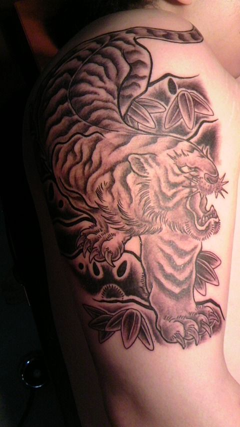 肩,虎,ブラック＆グレー,動物タトゥー/刺青デザイン画像