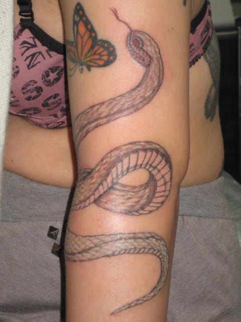 腕,カラー,蛇,女性タトゥー/刺青デザイン画像