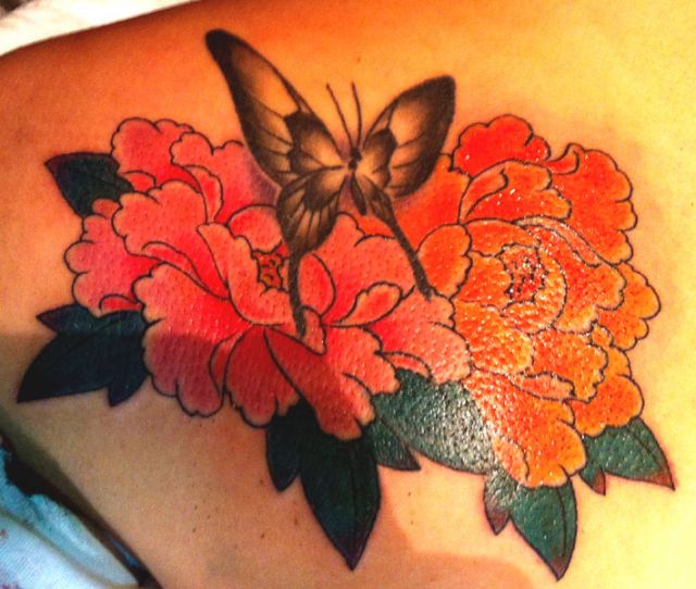 背中,蝶,牡丹,カラータトゥー/刺青デザイン画像
