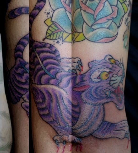 腕,女性,二の腕,虎,動物,ニュースクール,カラー,カラフルタトゥー/刺青デザイン画像