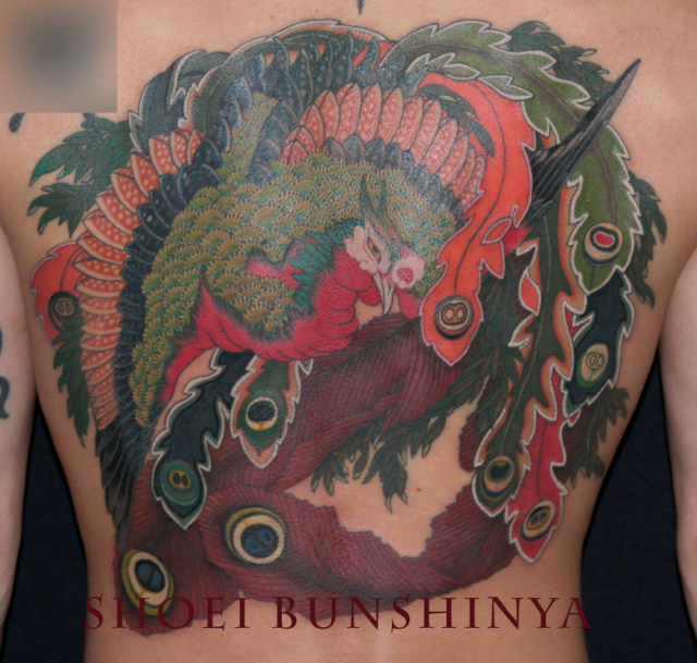 背中,鳳凰,カラータトゥー/刺青デザイン画像