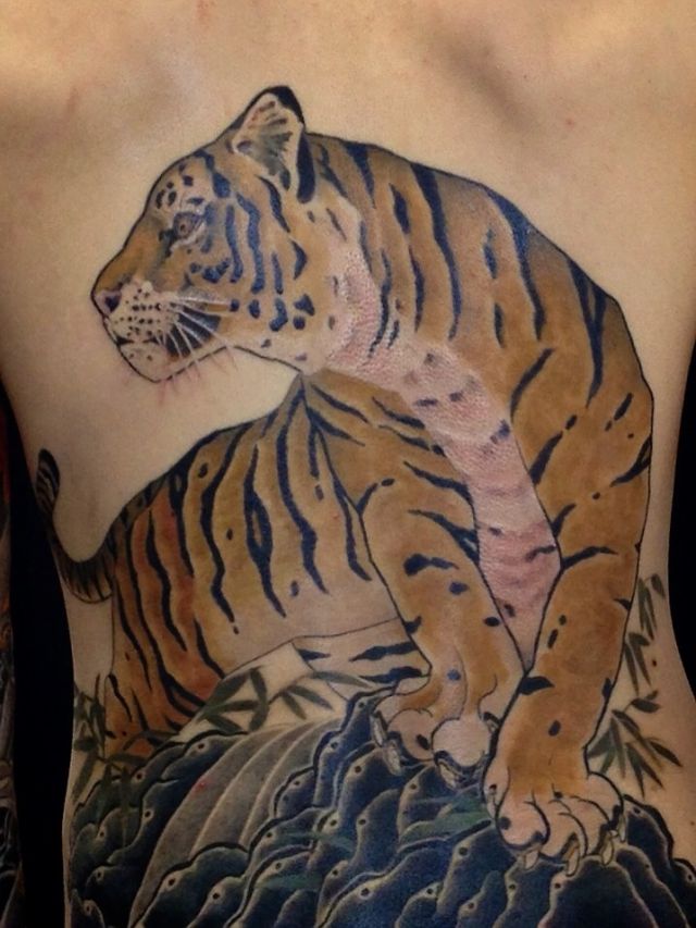 背中,男性,虎,カラータトゥー/刺青デザイン画像