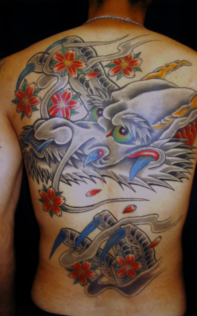 背中,抜き,龍,桜タトゥー/刺青デザイン画像