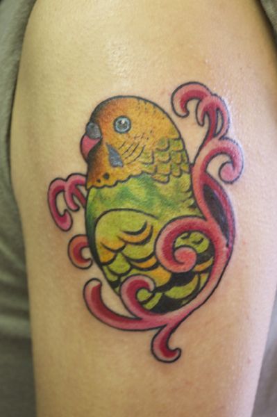 鳥,カラータトゥー/刺青デザイン画像