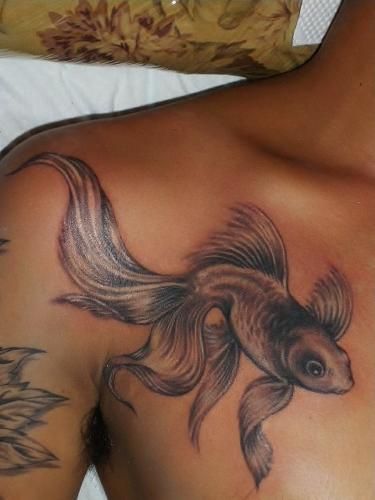 金魚,ブラック＆グレー,肩タトゥー/刺青デザイン画像