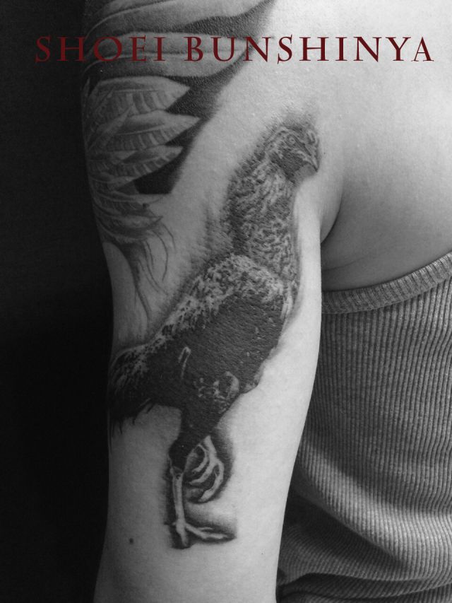 腕,鳥,ブラック＆グレイ,ブラック＆グレー,烏彫りタトゥー/刺青デザイン画像