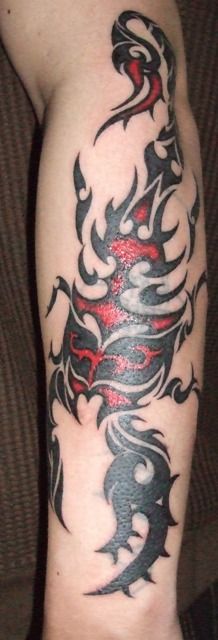 腕,手首,肘,男性,カバーアップ,サソリ,トライバル,蠍,カラータトゥー/刺青デザイン画像