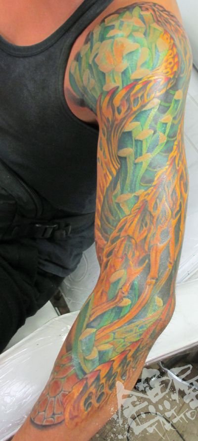 腕,二の腕,バイオタトゥー,バイオ,バイオメカニック,バイオメカタトゥー,カラー,カラフルタトゥー/刺青デザイン画像