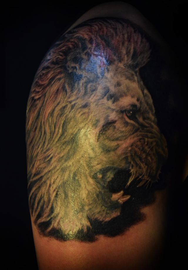 腕,肩,肩腕,ライオン,動物,ブラック＆グレイ,ブラック＆グレー,烏彫り,ブラック＆グレイタトゥー/刺青デザイン画像