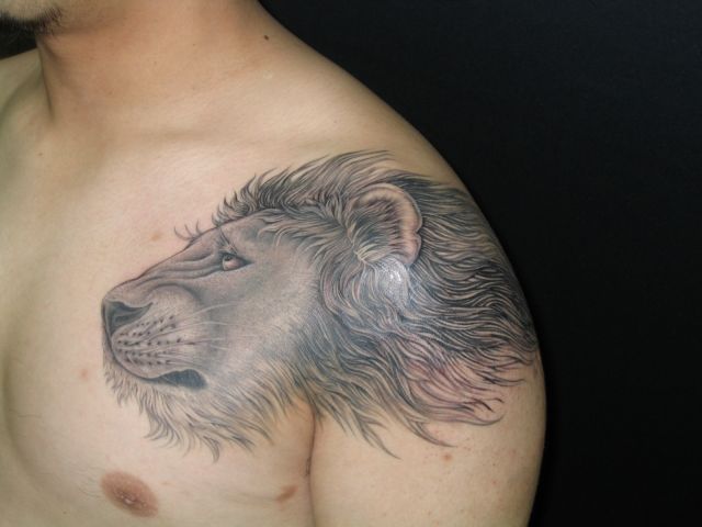 男性,ライオン,ブラック＆グレータトゥー/刺青デザイン画像