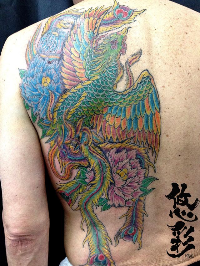 背中,牡丹,鳳凰,刺青,カラータトゥー/刺青デザイン画像